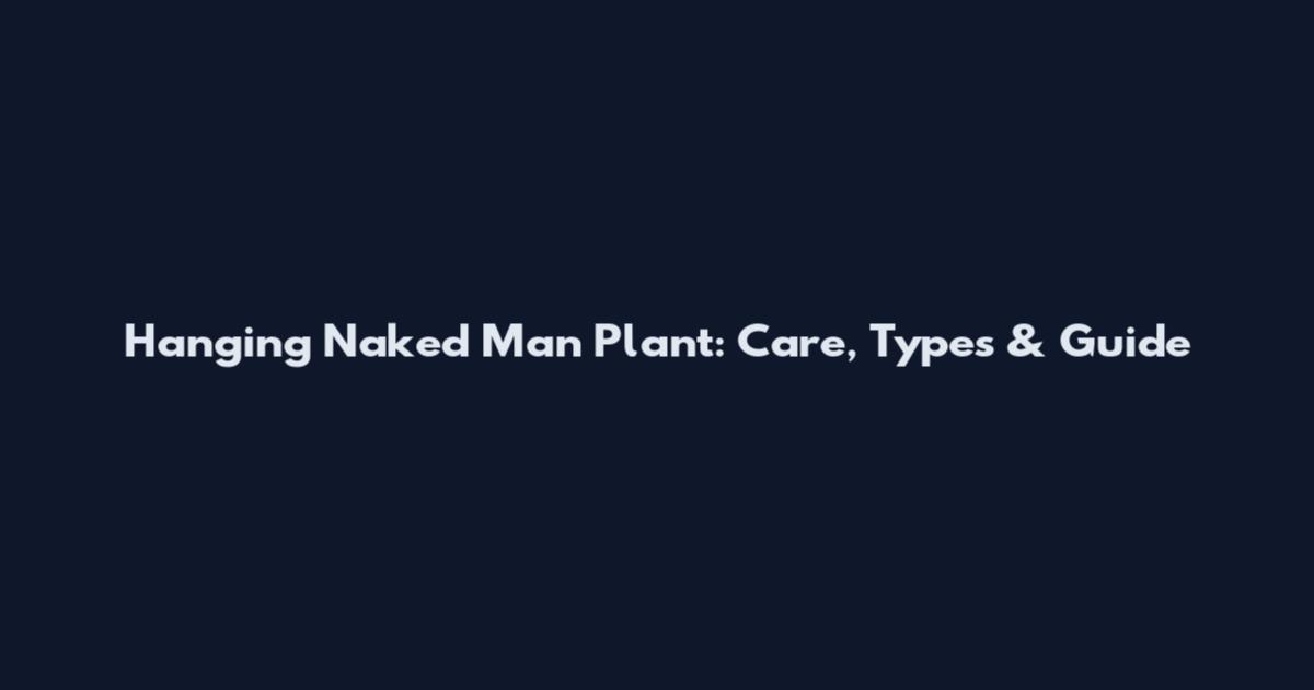 Hanging Naked Man Plant: Care, Types & Guide