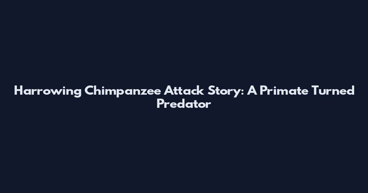 Harrowing Chimpanzee Attack Story: A Primate Turned Predator