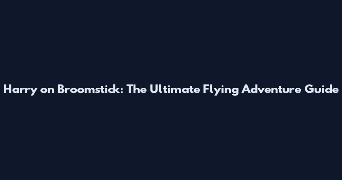 Harry on Broomstick: The Ultimate Flying Adventure Guide