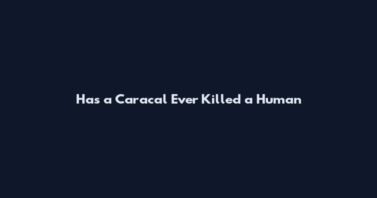 Has a Caracal Ever Killed a Human