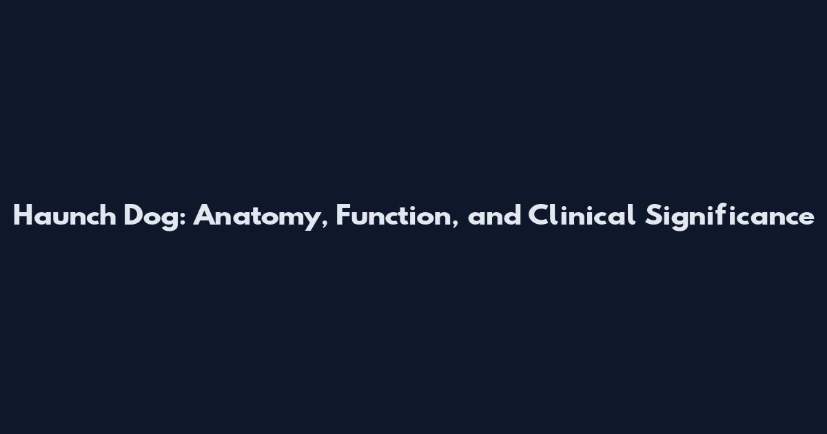 Haunch Dog: Anatomy, Function, and Clinical Significance