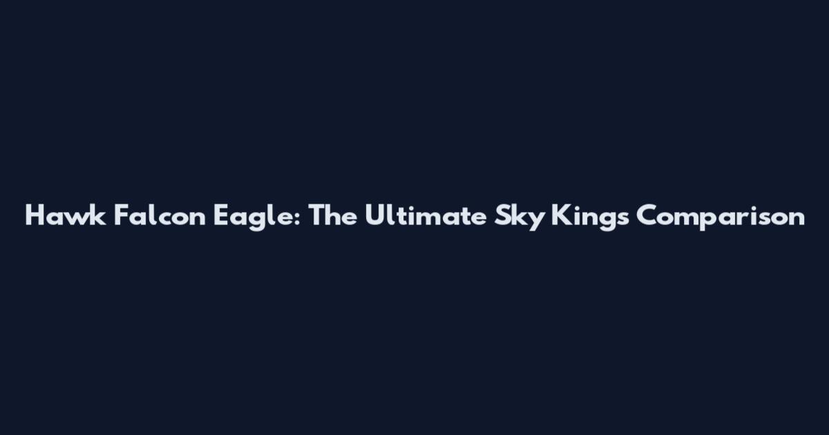Hawk Falcon Eagle: The Ultimate Sky Kings Comparison
