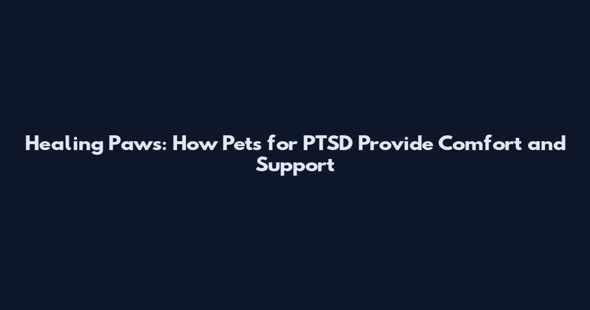 Healing Paws: How Pets for PTSD Provide Comfort and Support