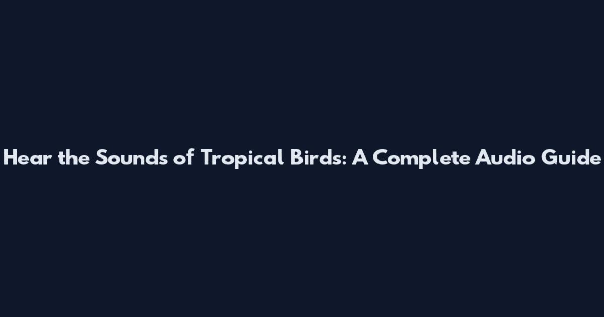 Hear the Sounds of Tropical Birds: A Complete Audio Guide