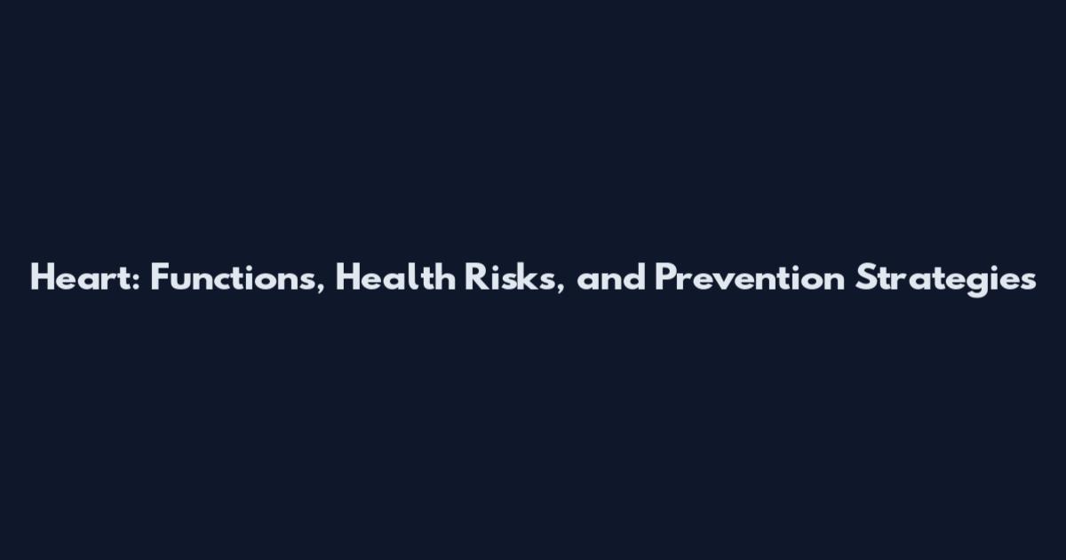 Heart: Functions, Health Risks, and Prevention Strategies