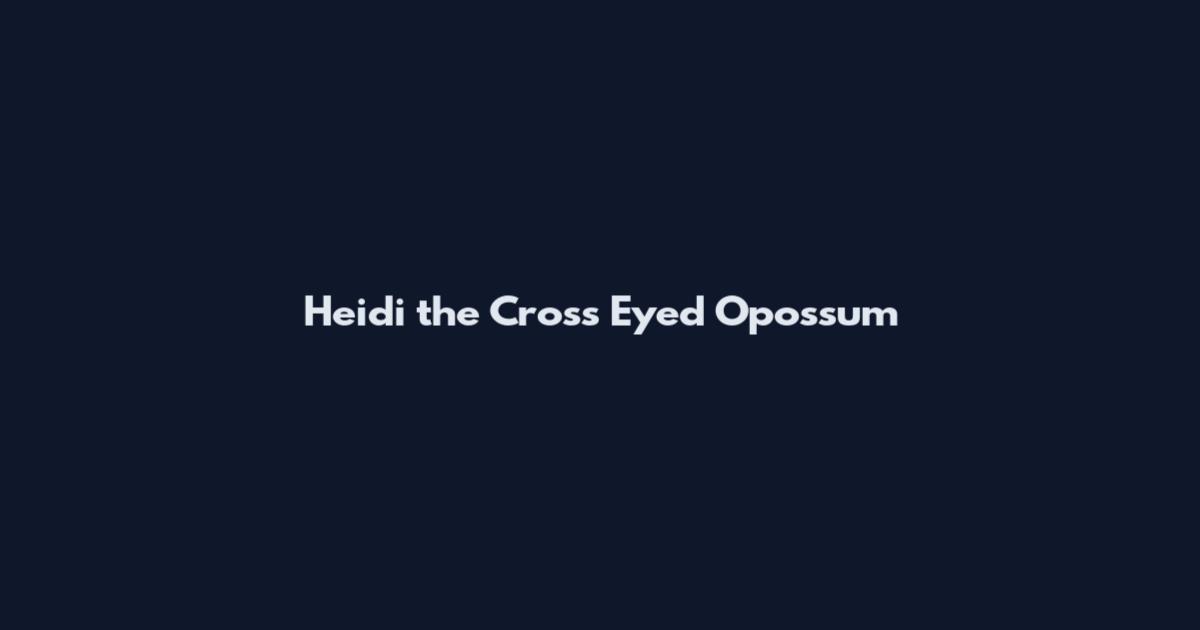 Heidi the Cross Eyed Opossum
