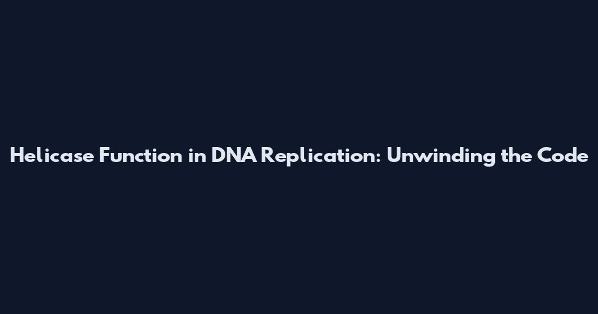 Helicase Function in DNA Replication: Unwinding the Code