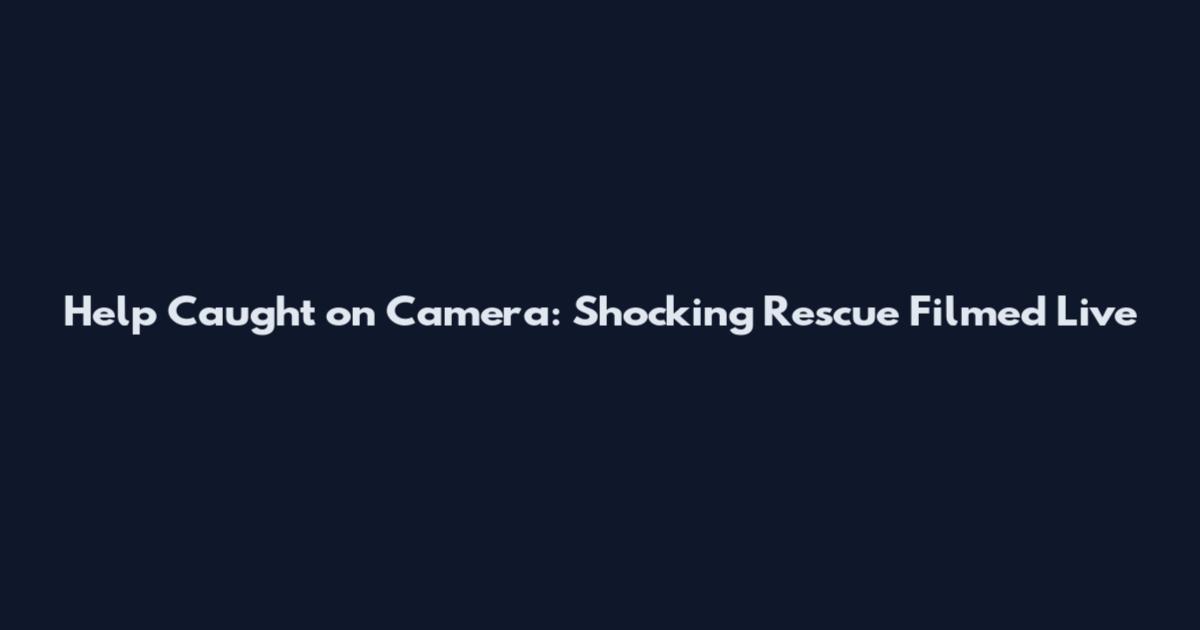 Help Caught on Camera: Shocking Rescue Filmed Live