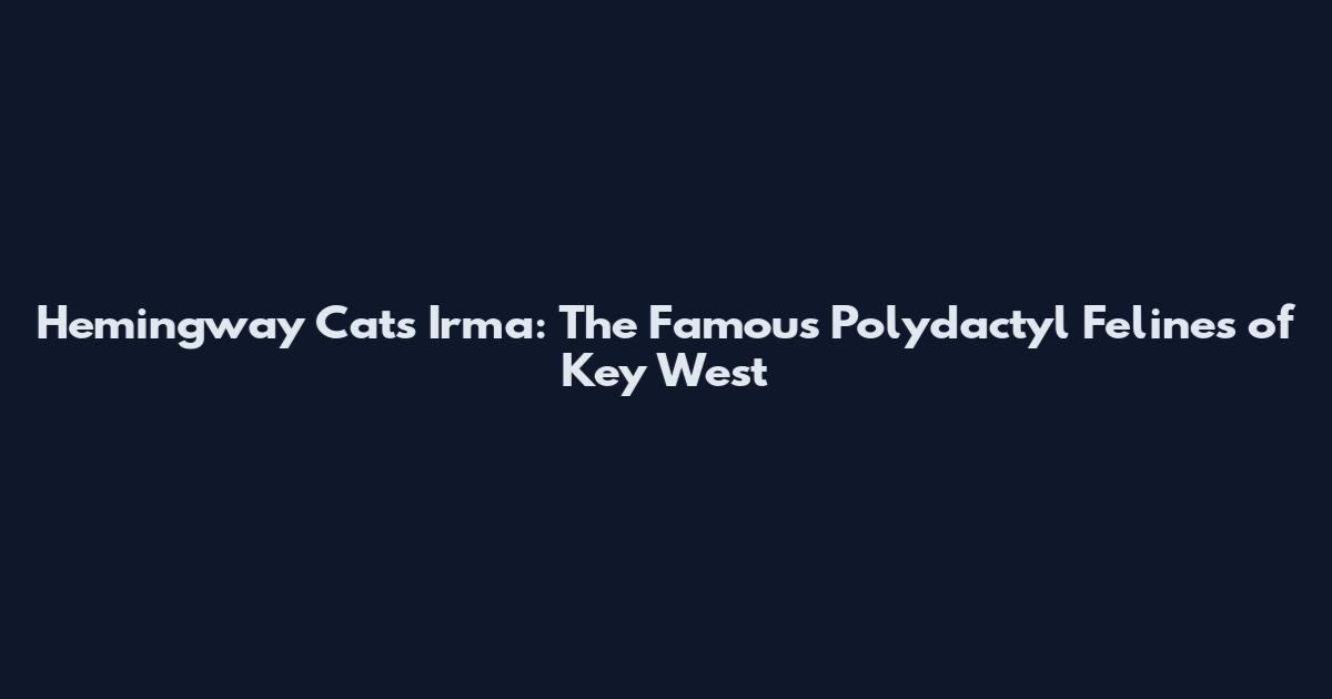 Hemingway Cats Irma: The Famous Polydactyl Felines of Key West