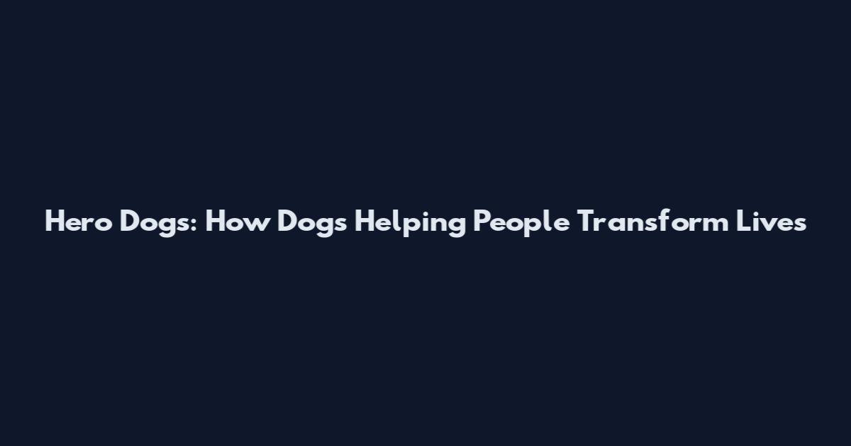 Hero Dogs: How Dogs Helping People Transform Lives
