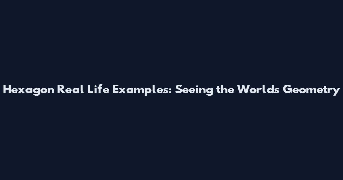 Hexagon Real Life Examples: Seeing the World's Geometry