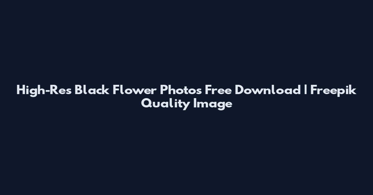 High-Res Black Flower Photos Free Download | Freepik Quality Image