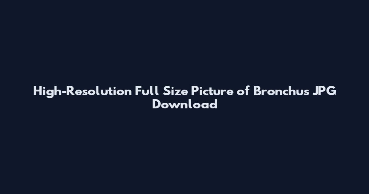 High-Resolution Full Size Picture of Bronchus JPG Download