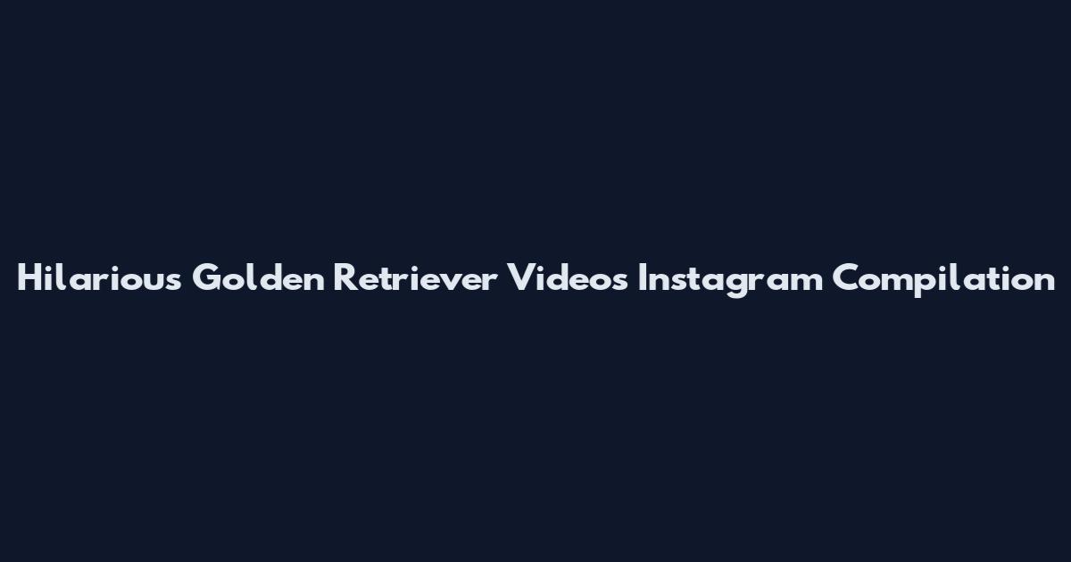 Hilarious Golden Retriever Videos Instagram Compilation