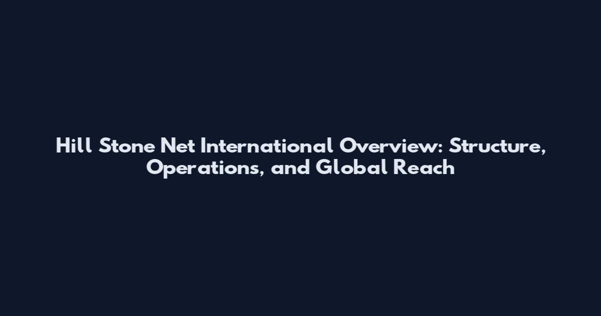 Hill Stone Net International Overview: Structure, Operations, and Global Reach
