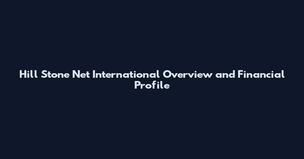 Hill Stone Net International Overview and Financial Profile