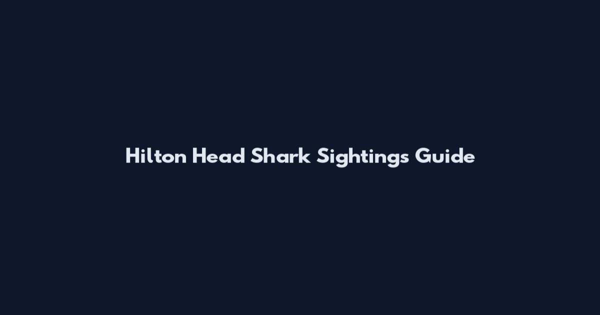 Hilton Head Shark Sightings Guide