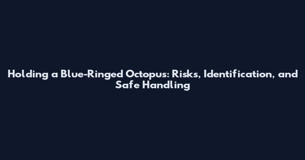 Holding a Blue-Ringed Octopus: Risks, Identification, and Safe Handling