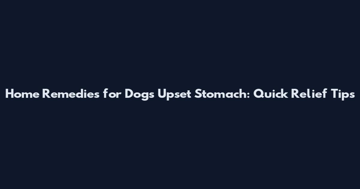 Home Remedies for Dogs Upset Stomach: Quick Relief Tips