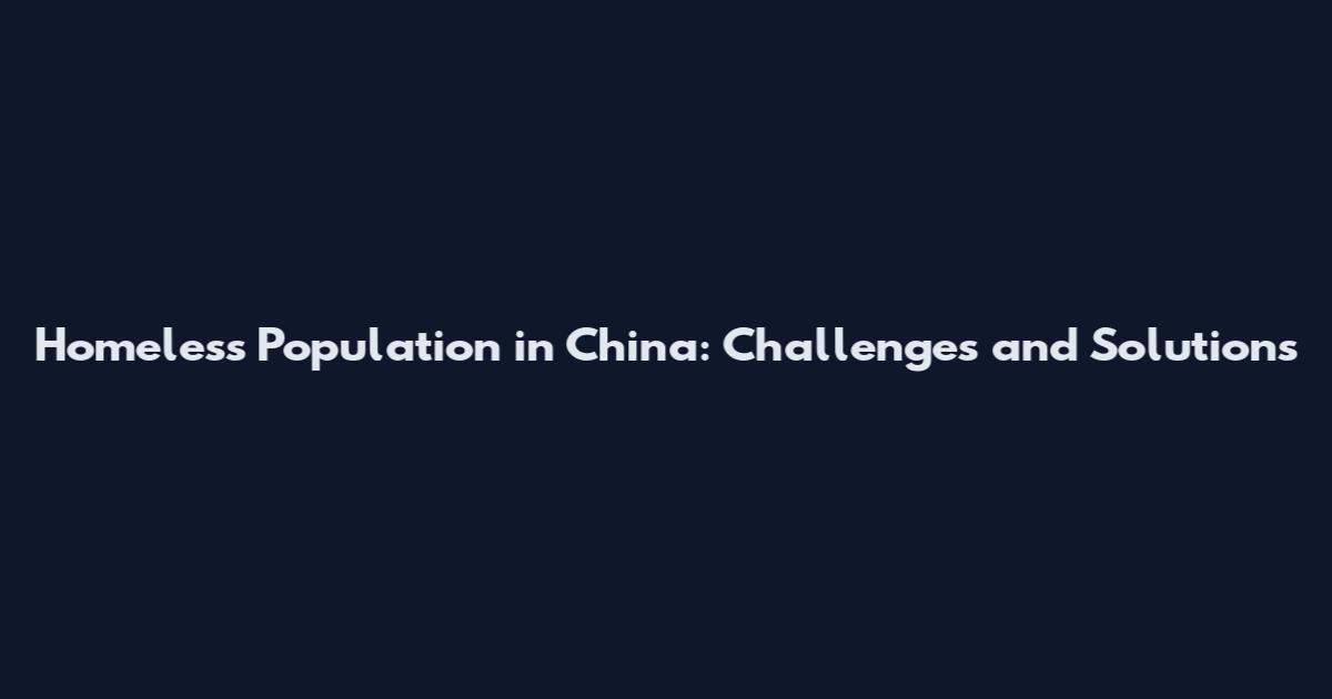 Homeless Population in China: Challenges and Solutions