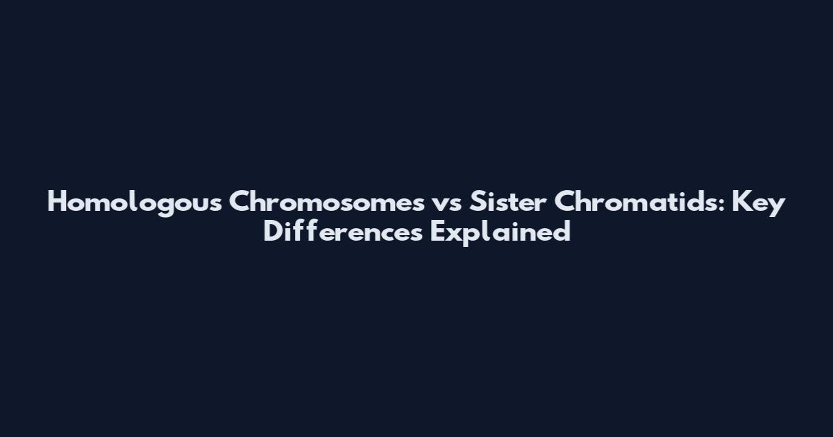 Homologous Chromosomes vs Sister Chromatids: Key Differences Explained