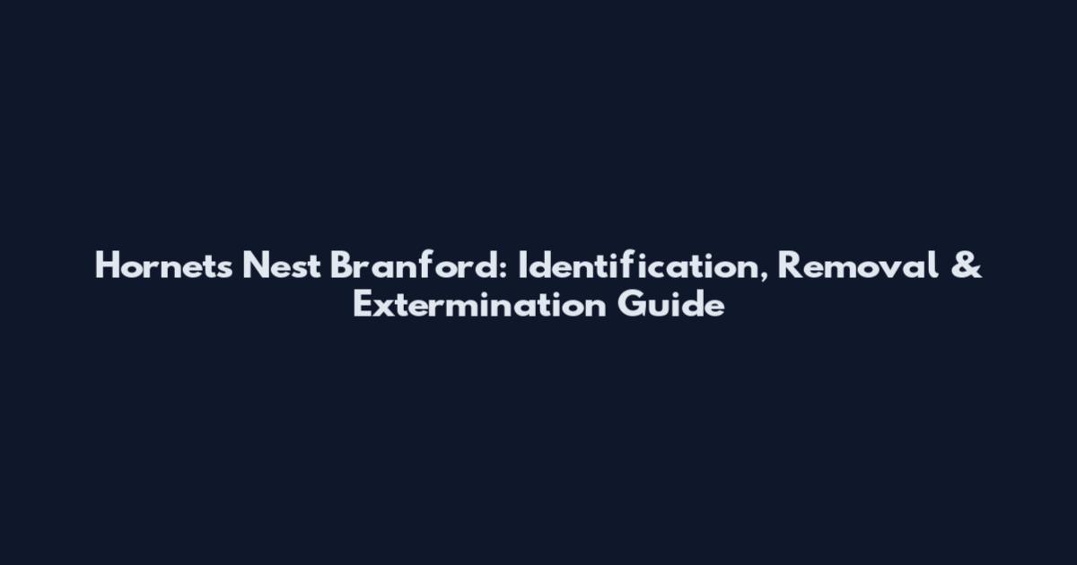 Hornets Nest Branford: Identification, Removal & Extermination Guide
