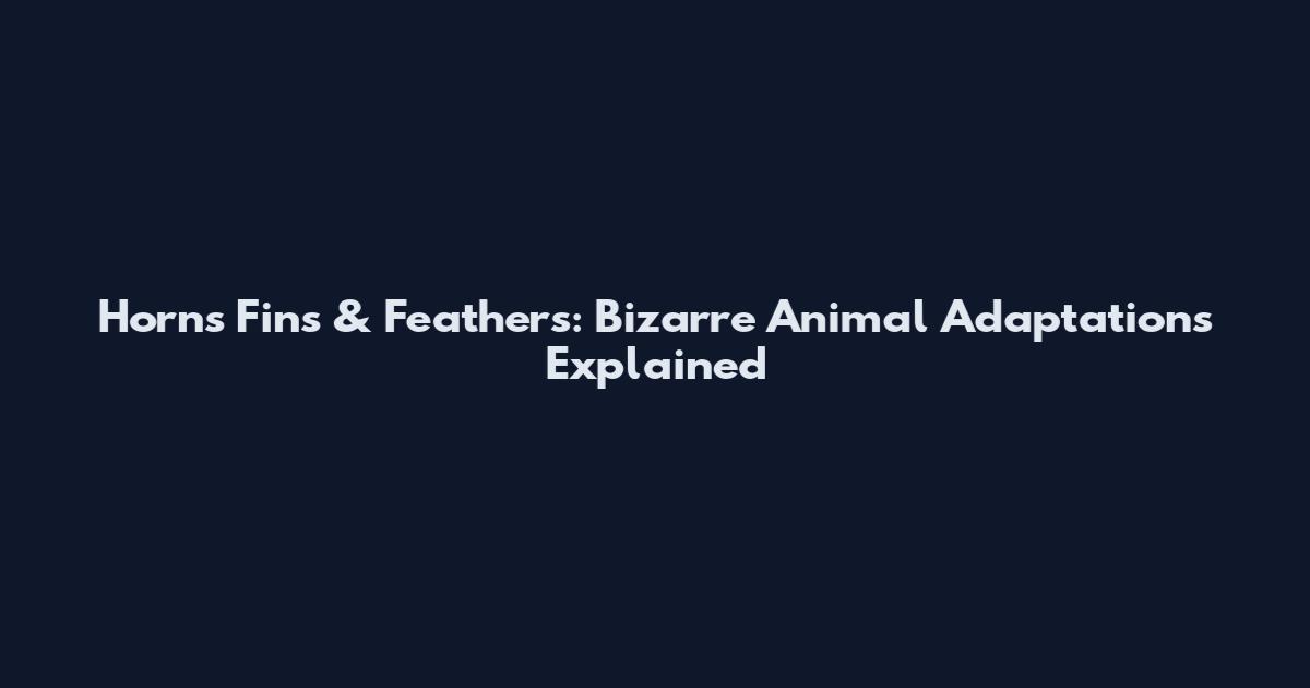 Horns Fins & Feathers: Bizarre Animal Adaptations Explained
