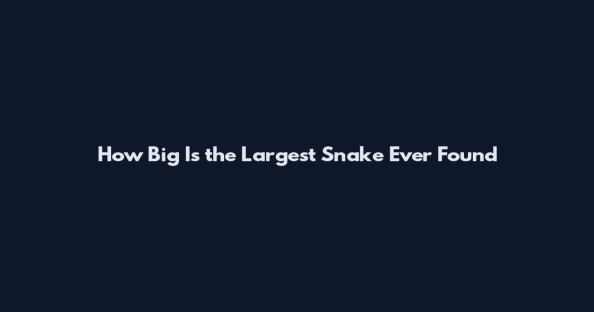 How Big Is the Largest Snake Ever Found