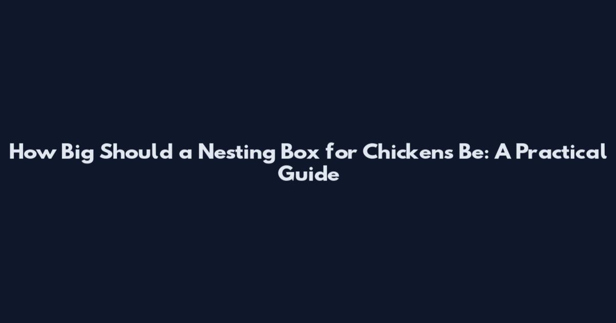 How Big Should a Nesting Box for Chickens Be: A Practical Guide