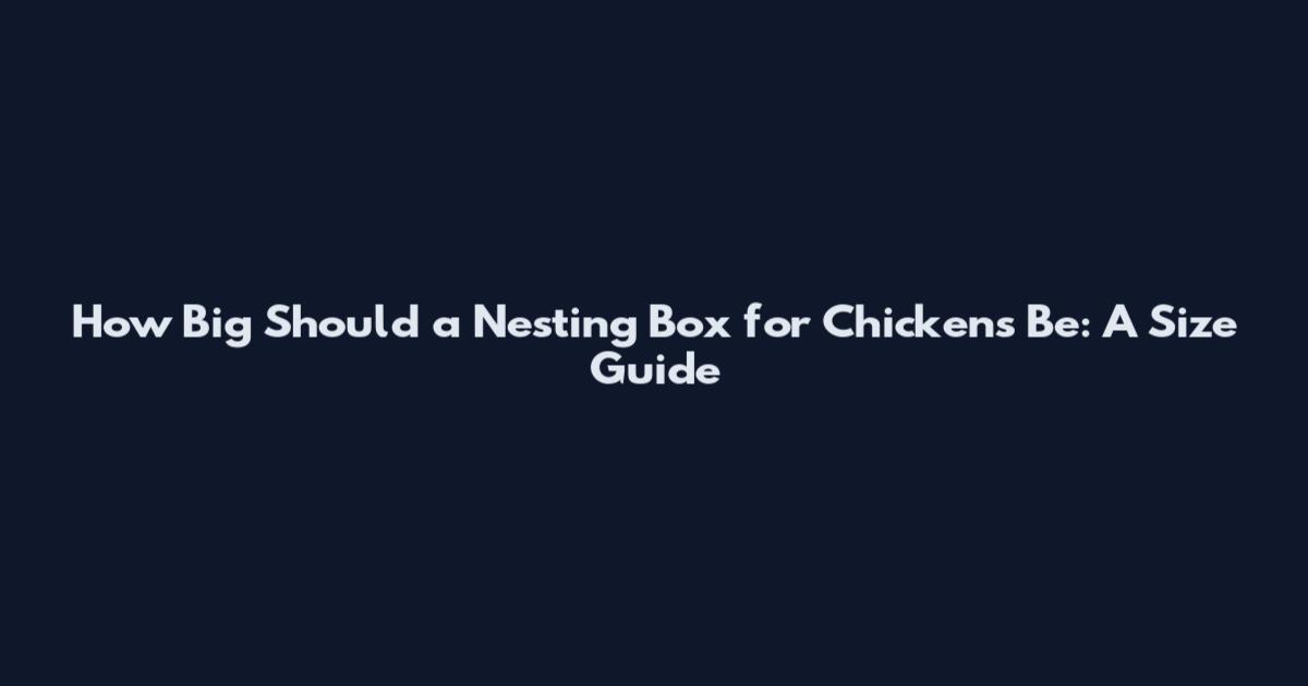 How Big Should a Nesting Box for Chickens Be: A Size Guide
