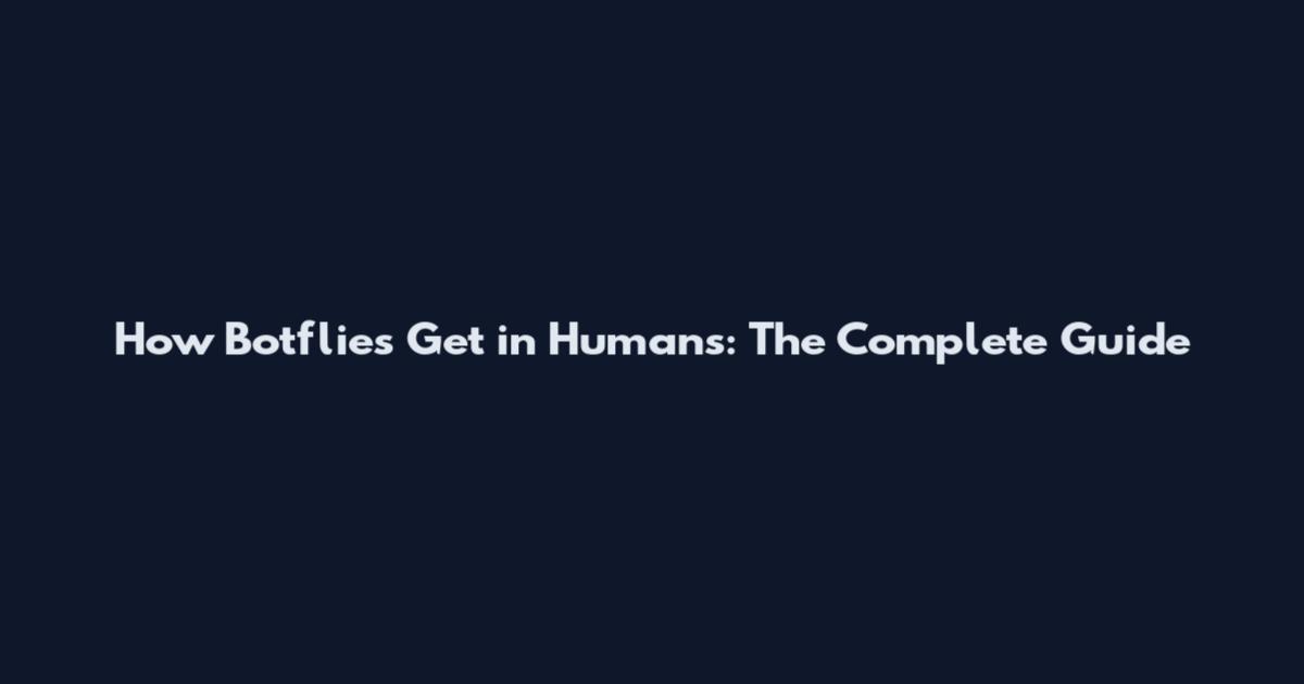 How Botflies Get in Humans: The Complete Guide
