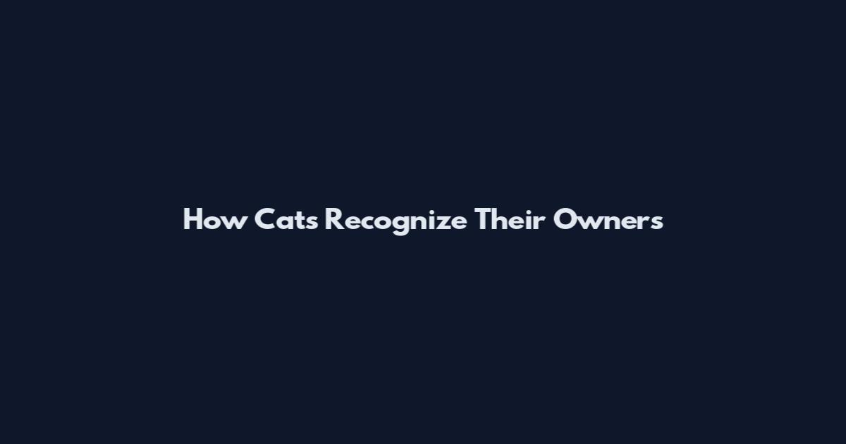 How Cats Recognize Their Owners
