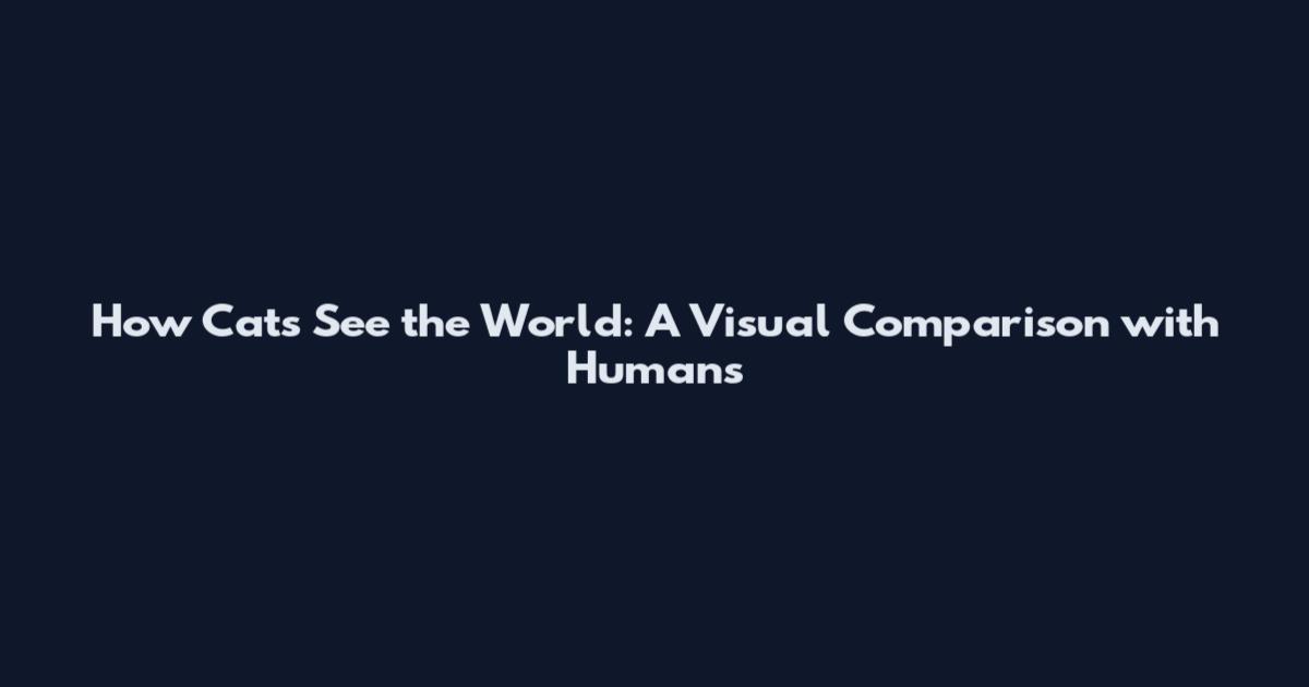 How Cats See the World: A Visual Comparison with Humans