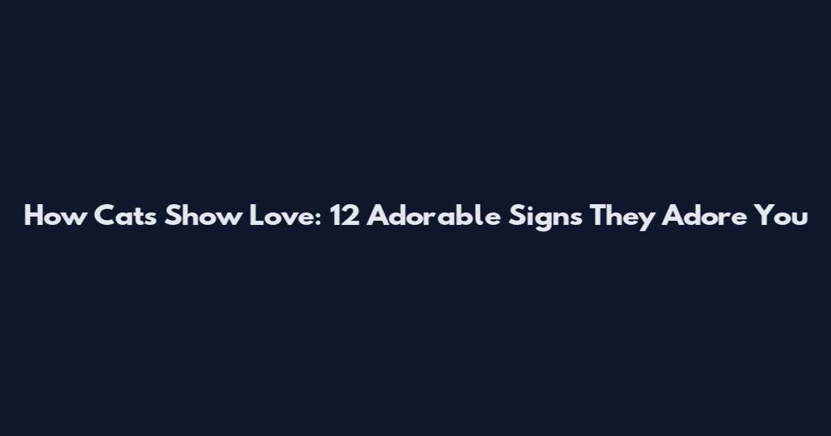 How Cats Show Love: 12 Adorable Signs They Adore You