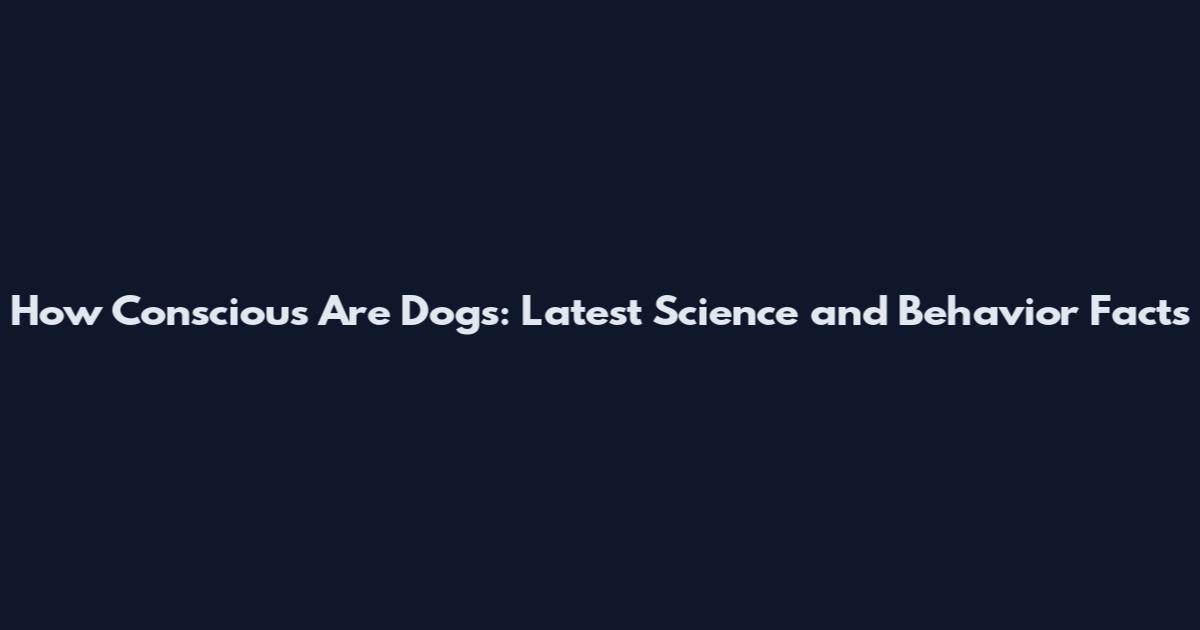 How Conscious Are Dogs: Latest Science and Behavior Facts