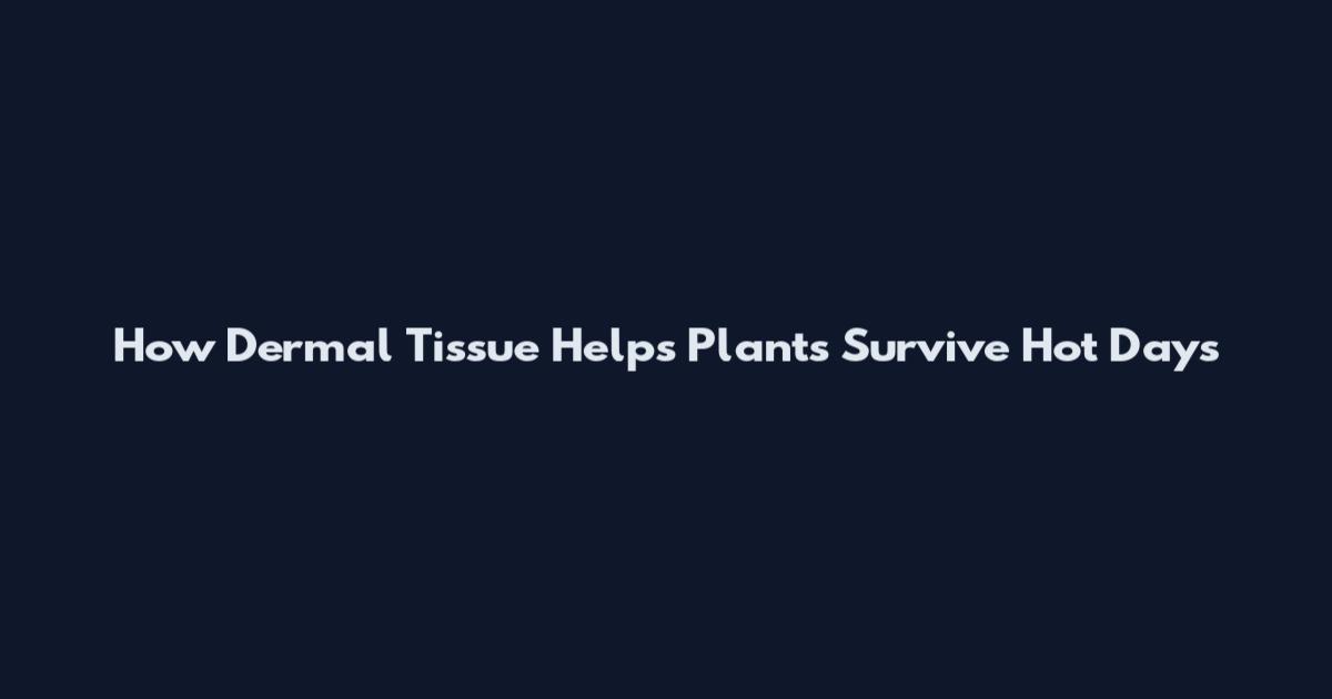 How Dermal Tissue Helps Plants Survive Hot Days