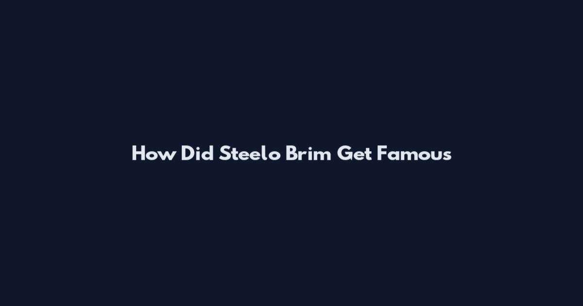 How Did Steelo Brim Get Famous