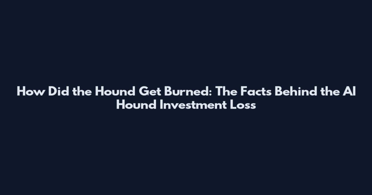 How Did the Hound Get Burned: The Facts Behind the AI Hound Investment Loss