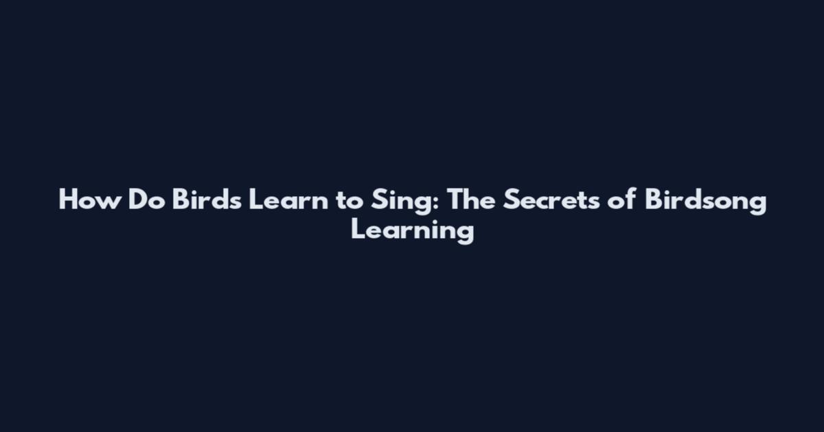 How Do Birds Learn to Sing: The Secrets of Birdsong Learning