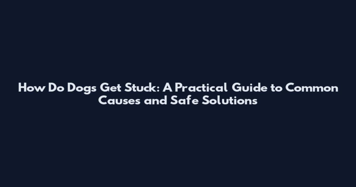 How Do Dogs Get Stuck: A Practical Guide to Common Causes and Safe Solutions
