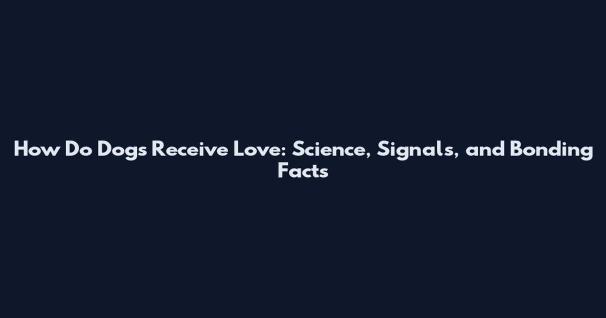 How Do Dogs Receive Love: Science, Signals, and Bonding Facts