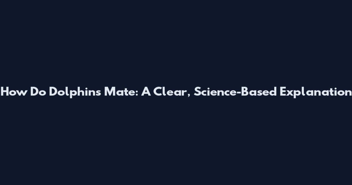 How Do Dolphins Mate: A Clear, Science-Based Explanation