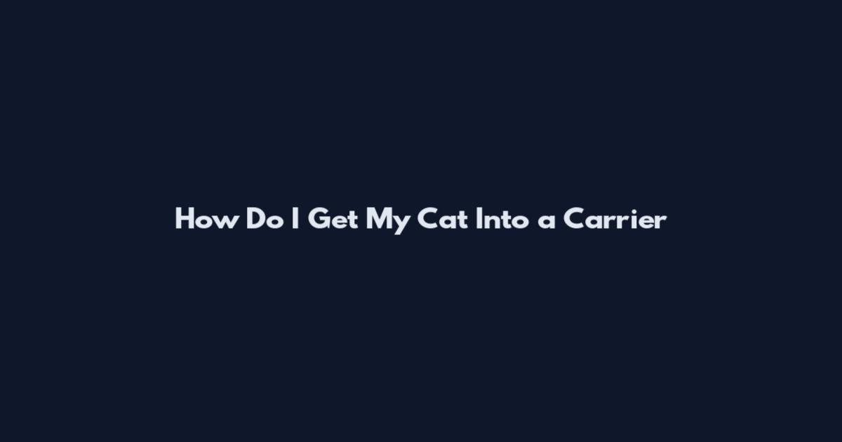How Do I Get My Cat Into a Carrier