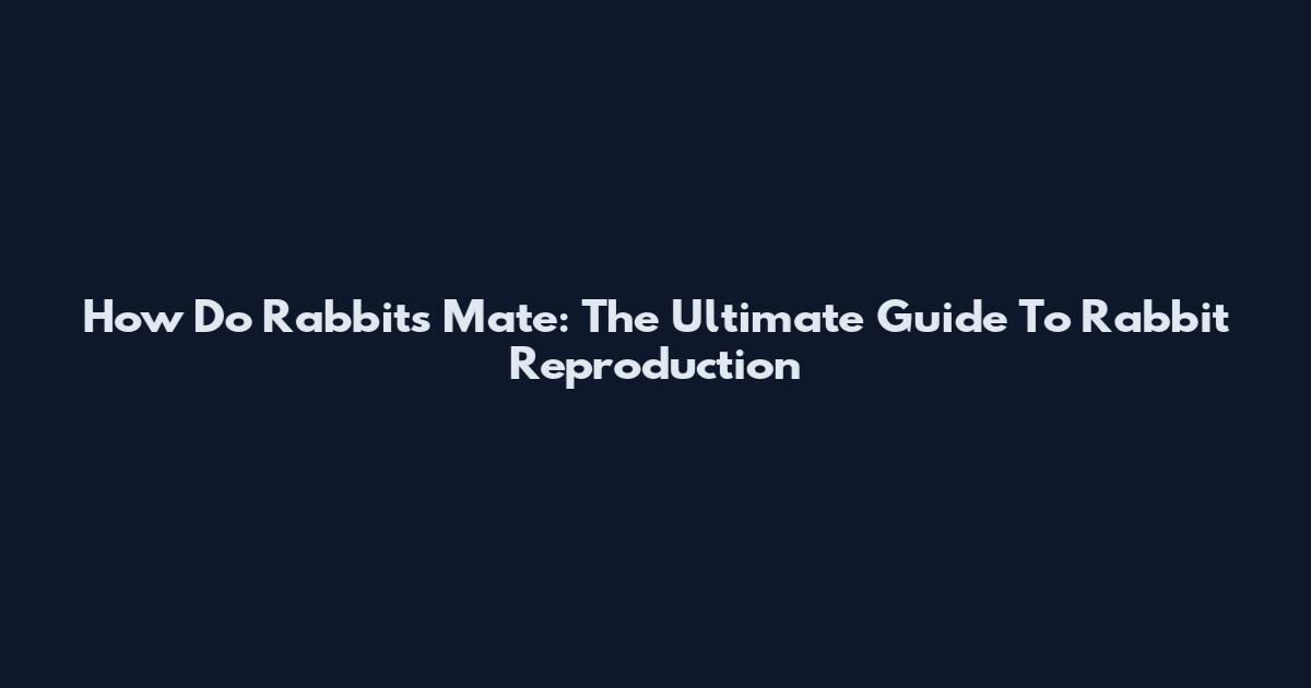 How Do Rabbits Mate: The Ultimate Guide To Rabbit Reproduction