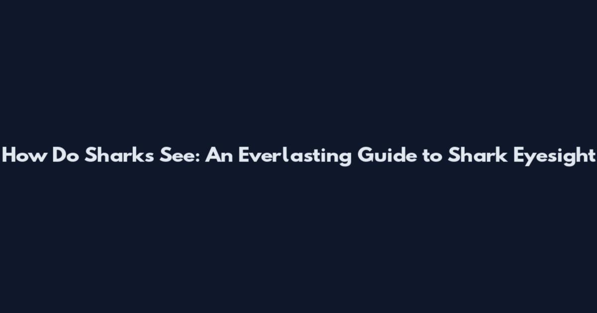 How Do Sharks See: An Everlasting Guide to Shark Eyesight