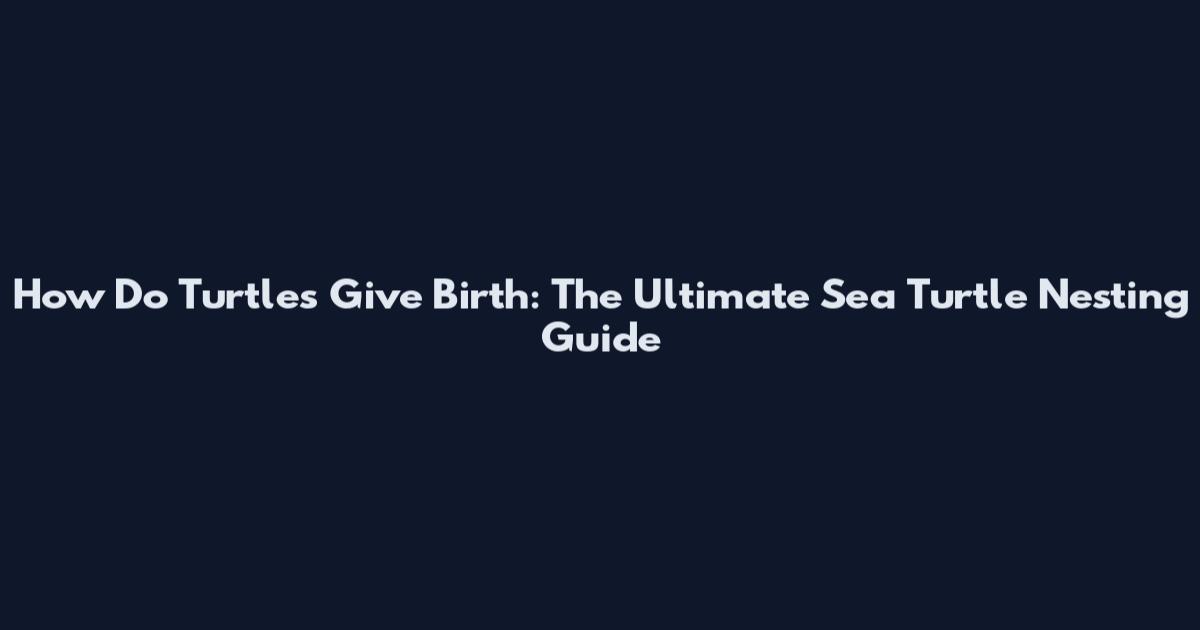 How Do Turtles Give Birth: The Ultimate Sea Turtle Nesting Guide