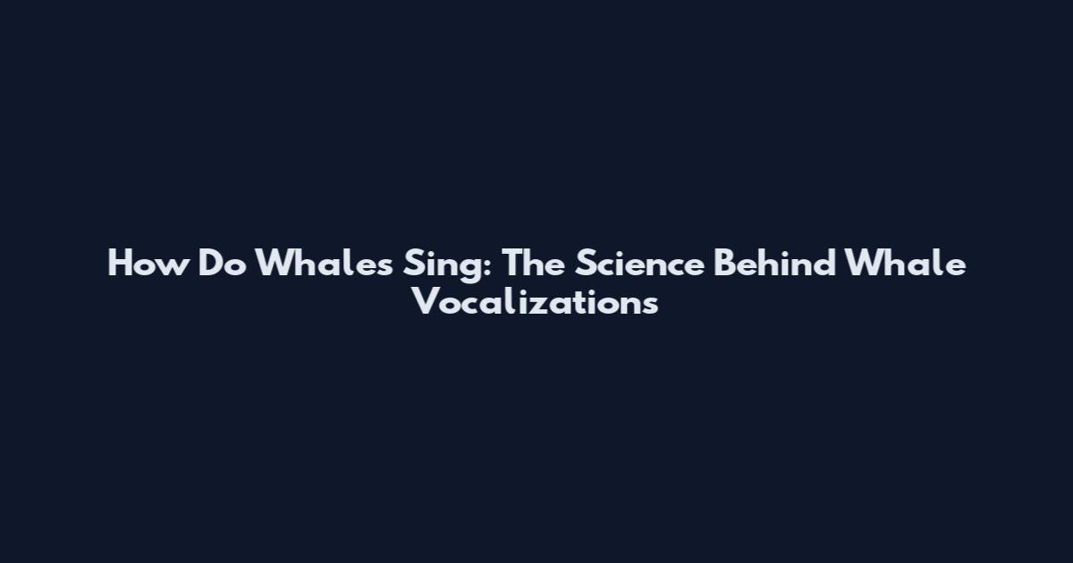How Do Whales Sing: The Science Behind Whale Vocalizations