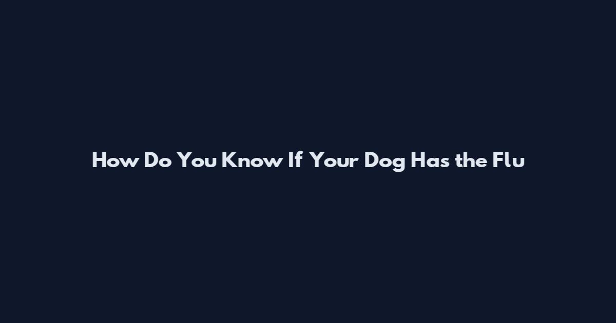 How Do You Know If Your Dog Has the Flu