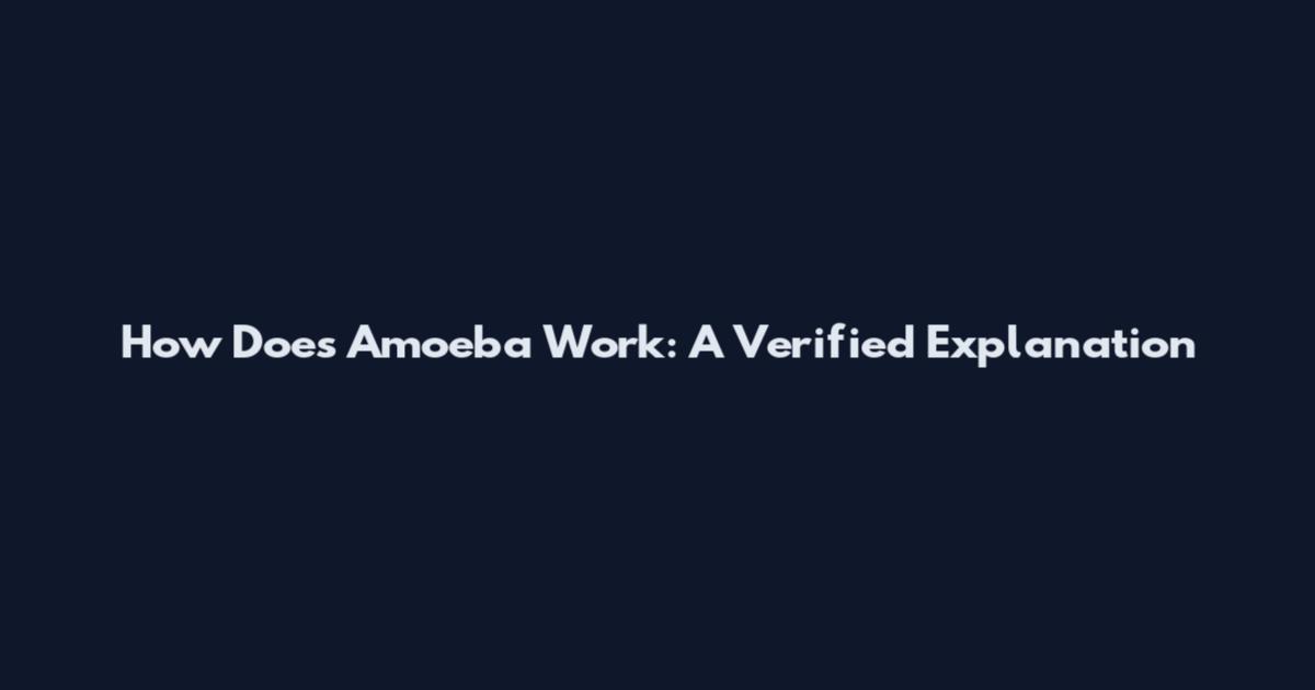 How Does Amoeba Work: A Verified Explanation