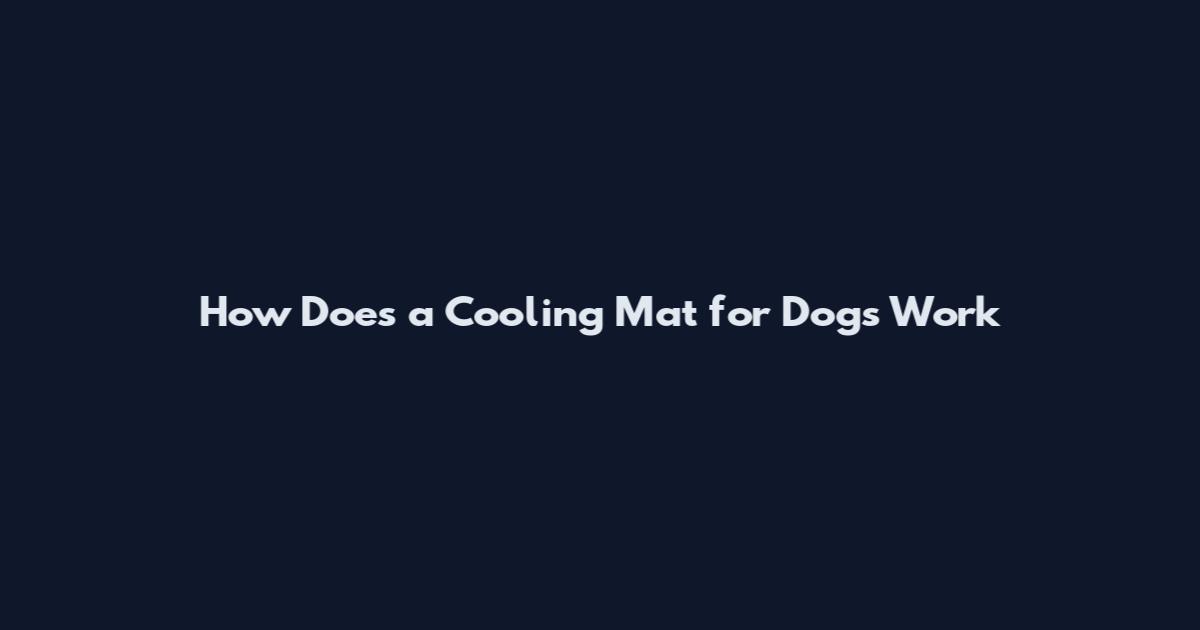 How Does a Cooling Mat for Dogs Work